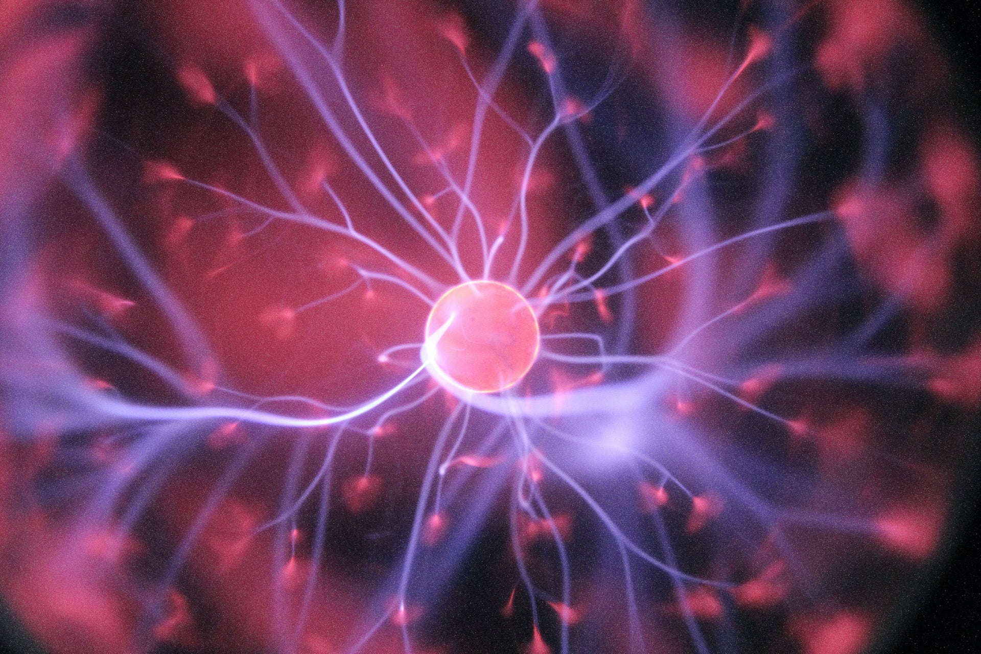 Rapidly Increasing Your Emotional Intelligence Through BioCybernaut Alpha Training